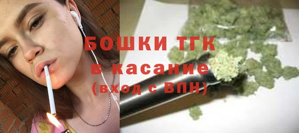 дживик Бронницы