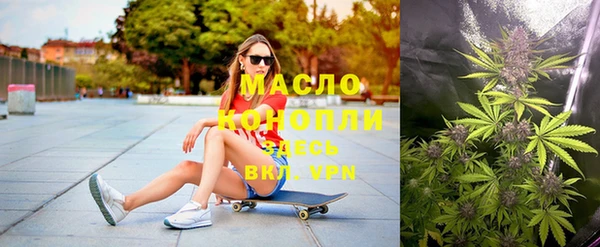 дживик Бронницы