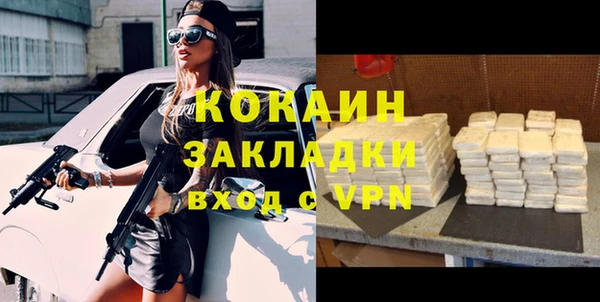 дживик Бронницы