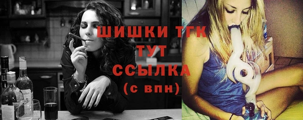 дживик Бронницы