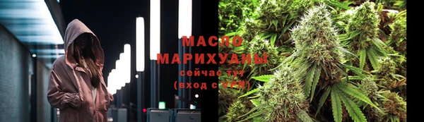 дживик Бронницы
